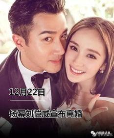 娱乐圈吃瓜小说连更,瓜田里的明星秘闻大揭秘