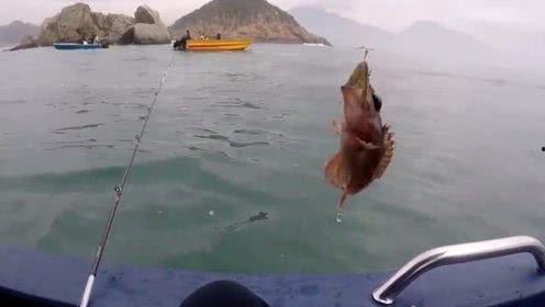 娱乐吃瓜钓鱼视频,吃瓜、钓鱼视频带你领略休闲生活新风尚