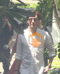 娱乐吃瓜君事件,揭秘网络舆论背后的真相与争议