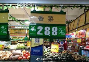 寿光市吃瓜娱乐工作室,揭秘瓜乡的欢乐生活圈