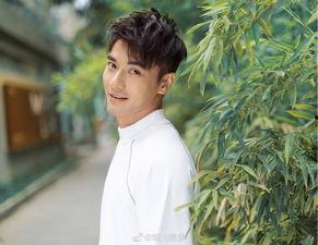 娱乐圈吃瓜大合集真的吗