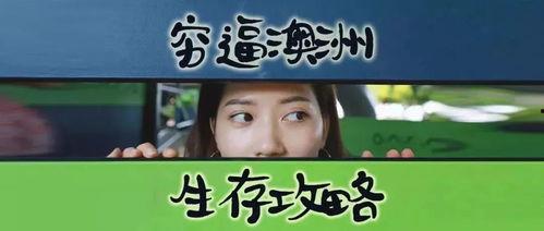娱乐吃瓜酱生存手段,揭秘娱乐圈生存秘籍与生存手段