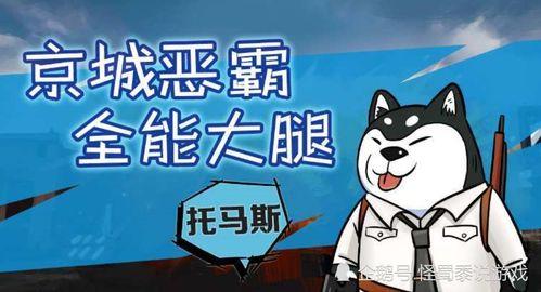 娱乐吃瓜酱生存手段,揭秘娱乐圈生存秘籍与生存手段