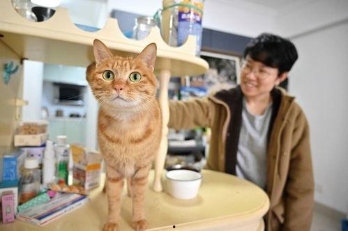 娱乐吃瓜酱狗帮猫